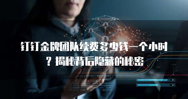 钉钉金牌团队续费多少钱一个小时?揭秘背后隐藏的秘密