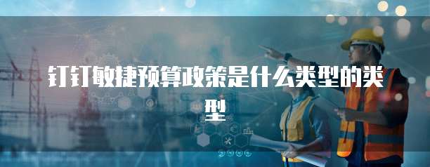 钉钉敏捷预算政策是什么类型的类型