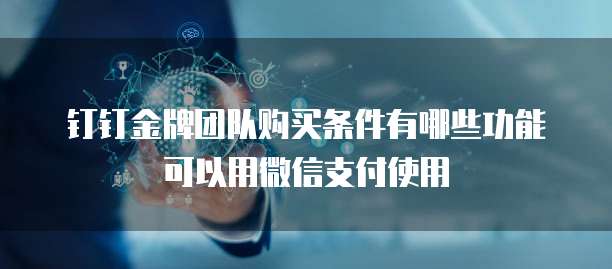 钉钉金牌团队购买条件有哪些功能可以用微信支付使用