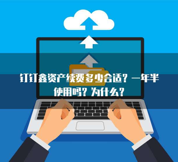 钉钉鑫资产续费多少合适？一年半使用吗？为什么？