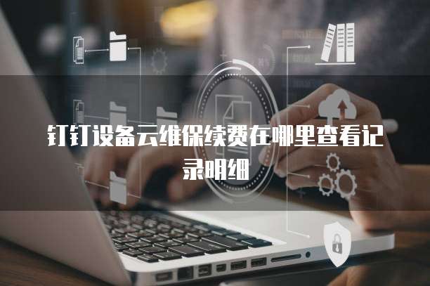 钉钉设备云维保续费在哪里查看记录明细