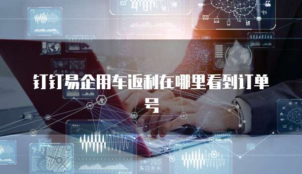 钉钉易企用车返利在哪里看到订单号