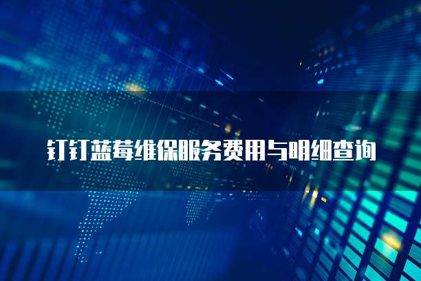 钉钉蓝莓维保服务费用与明细查询