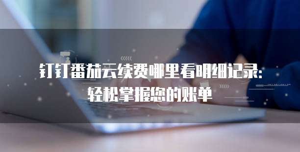 钉钉番茄云续费哪里看明细记录:轻松掌握您的账单