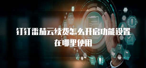 钉钉番茄云续费怎么开启功能设置在哪里使用