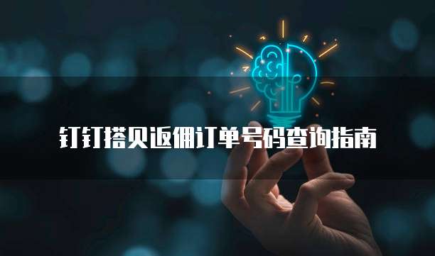 钉钉搭贝返佣订单号码查询指南