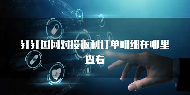 钉钉国网对接返利订单明细在哪里查看
