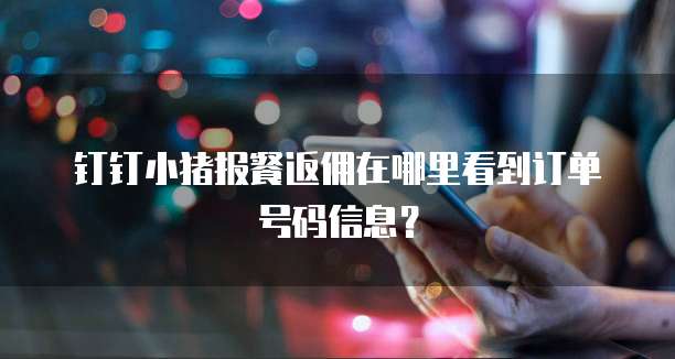钉钉小猪报餐返佣在哪里看到订单号码信息?