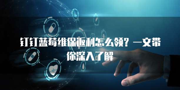 钉钉蓝莓维保返利怎么领?一文带你深入了解