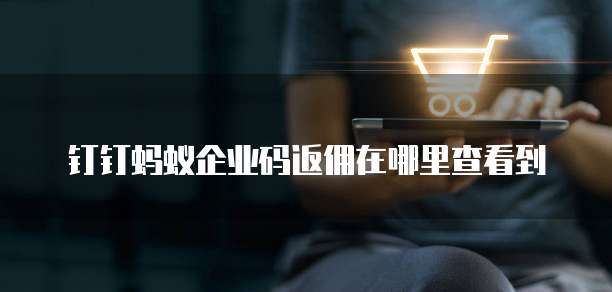 钉钉蚂蚁企业码返佣在哪里查看到
