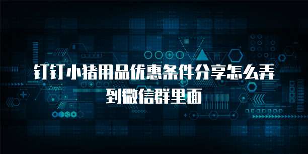钉钉小猪用品优惠条件分享怎么弄到微信群里面