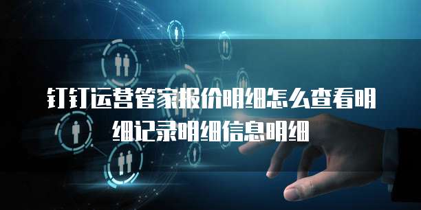 钉钉运营管家报价明细怎么查看明细记录明细信息明细