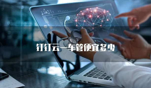 钉钉云一车管便宜多少