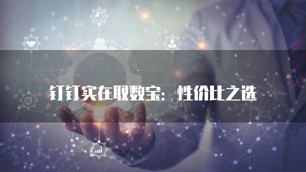 钉钉实在取数宝:性价比之选