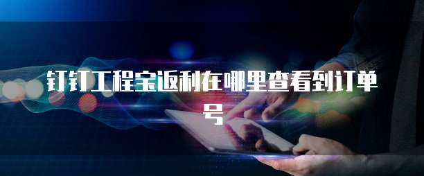 钉钉工程宝返利在哪里查看到订单号