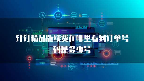 钉钉精品版续费在哪里看到订单号码是多少号