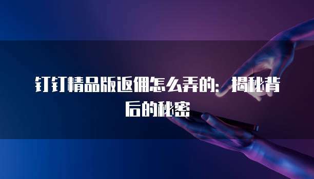 钉钉精品版返佣怎么弄的:揭秘背后的秘密