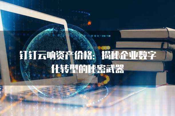 钉钉云呐资产价格:揭秘企业数字化转型的秘密武器