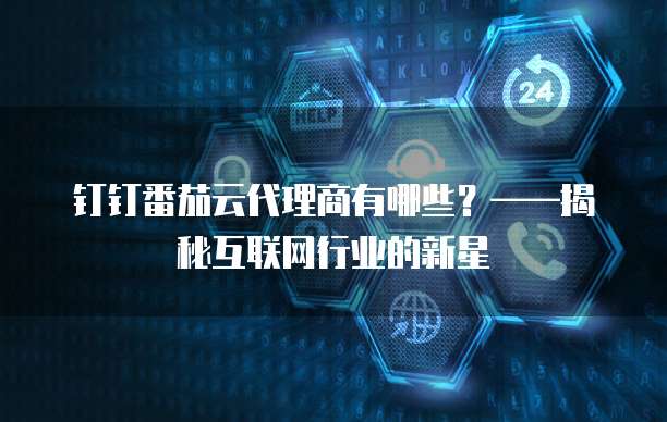 钉钉番茄云代理商有哪些?——揭秘互联网行业的新星