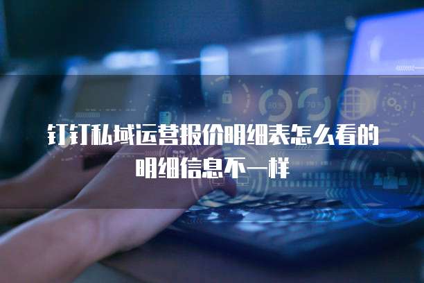 钉钉私域运营报价明细表怎么看的明细信息不一样