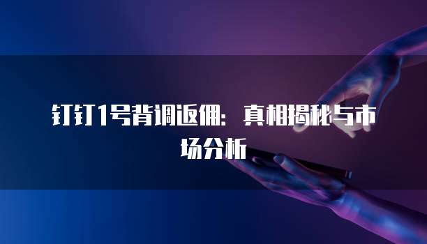 钉钉1号背调返佣:真相揭秘与市场分析
