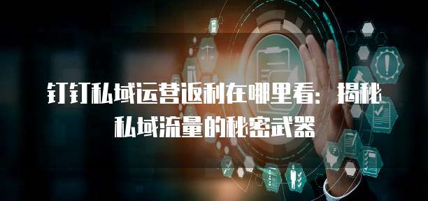 钉钉私域运营返利在哪里看:揭秘私域流量的秘密武器