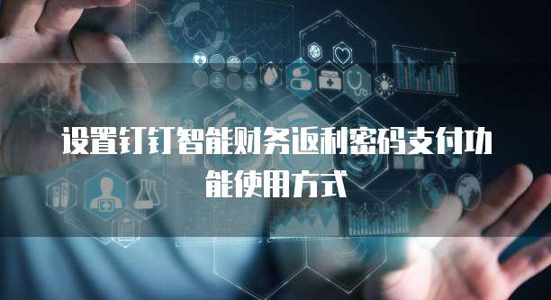 设置钉钉智能财务返利密码支付功能使用方式