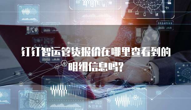 钉钉智运管货报价在哪里查看到的明细信息吗?
