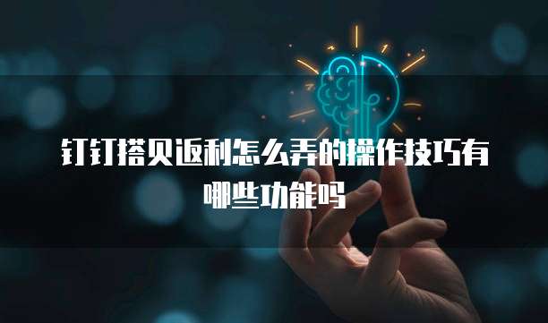钉钉搭贝返利怎么弄的操作技巧有哪些功能吗