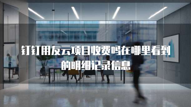 钉钉用友云项目收费吗在哪里看到的明细记录信息