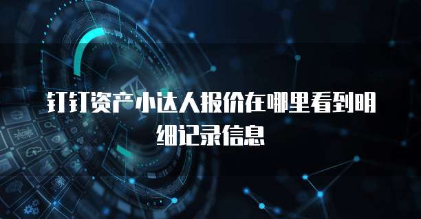 钉钉资产小达人报价在哪里看到明细记录信息