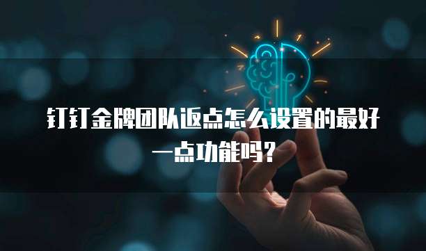 钉钉金牌团队返点怎么设置的最好一点功能吗?