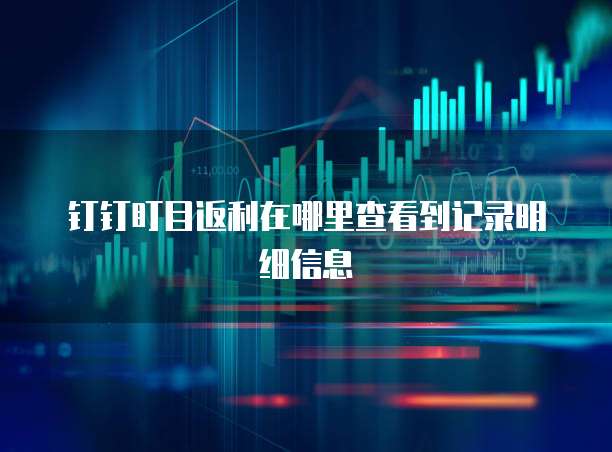 钉钉盯目返利在哪里查看到记录明细信息