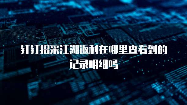 钉钉招采江湖返利在哪里查看到的记录明细吗