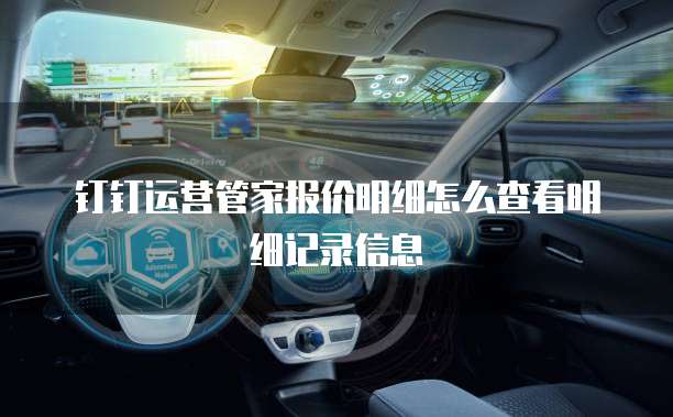 钉钉运营管家报价明细怎么查看明细记录信息