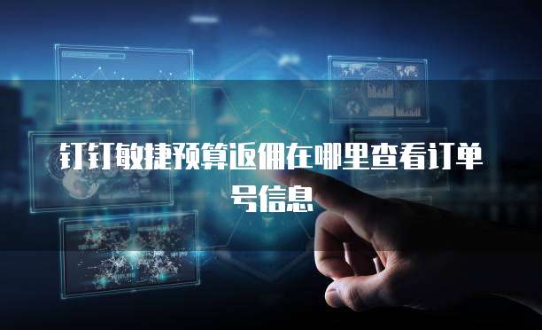 钉钉敏捷预算返佣在哪里查看订单号信息