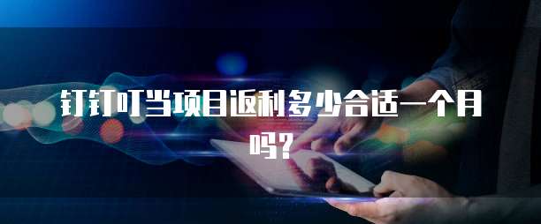 钉钉叮当项目返利多少合适一个月吗?