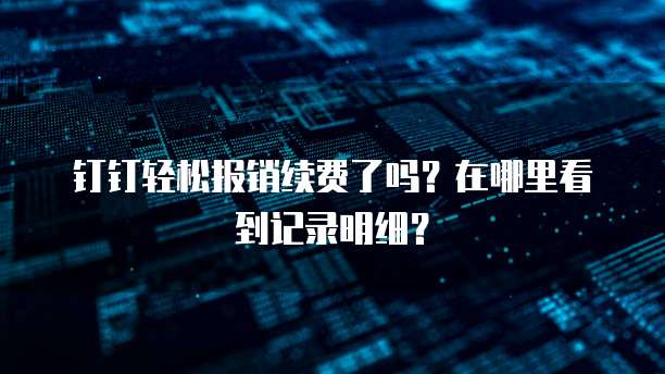 钉钉轻松报销续费了吗?在哪里看到记录明细?