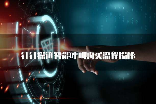 钉钉探迹智能呼叫购买流程揭秘