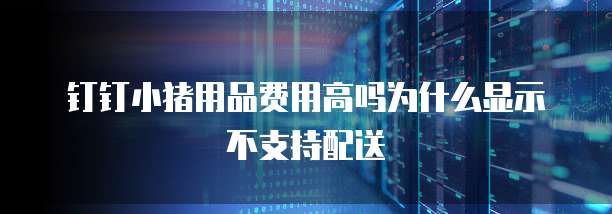 钉钉小猪用品费用高吗为什么显示不支持配送