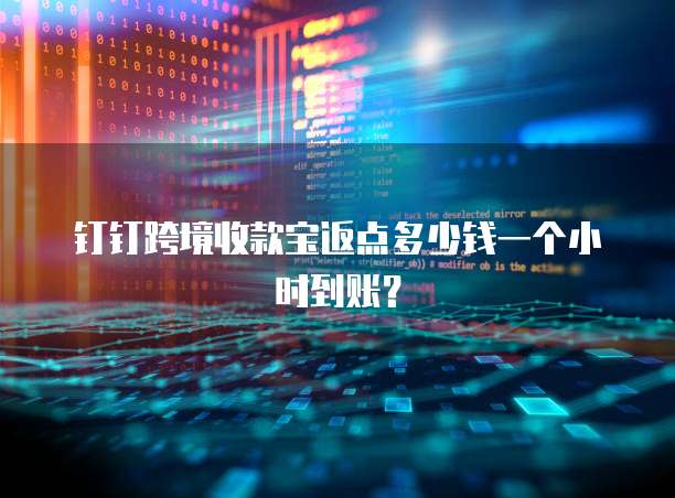 钉钉跨境收款宝返点多少钱一个小时到账?