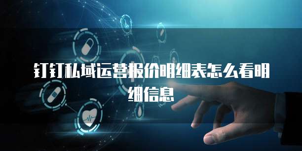 钉钉私域运营报价明细表怎么看明细信息