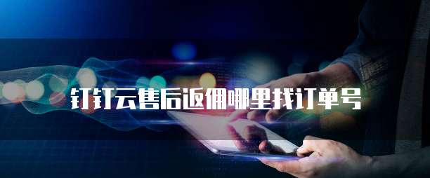 钉钉云售后返佣哪里找订单号