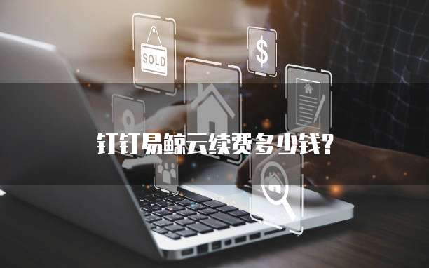 钉钉易鲸云续费多少钱?