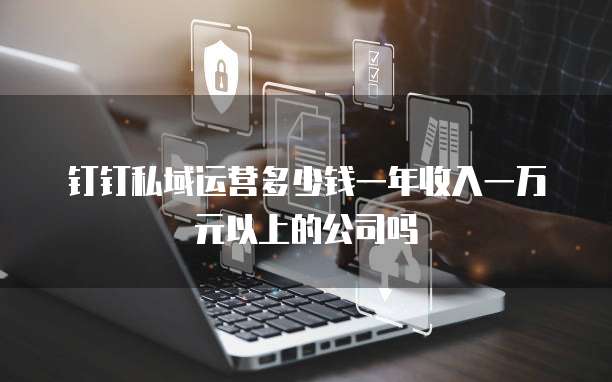 钉钉私域运营多少钱一年收入一万元以上的公司吗