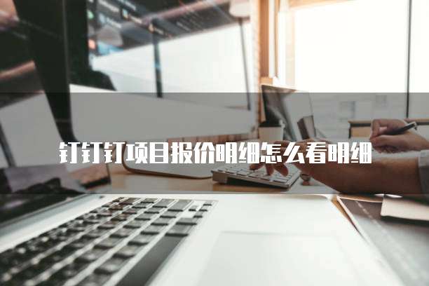 钉钉钉项目报价明细怎么看明细