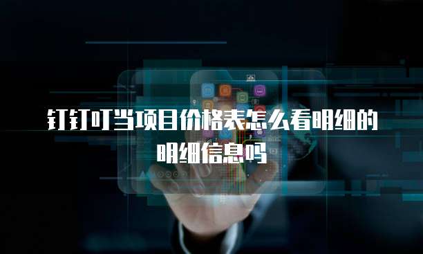 钉钉叮当项目价格表怎么看明细的明细信息吗