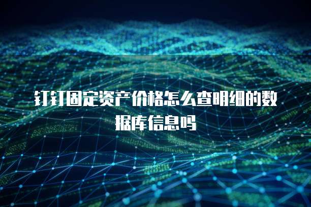 钉钉固定资产价格怎么查明细的数据库信息吗