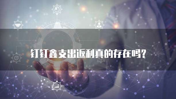 钉钉鑫支出返利真的存在吗?