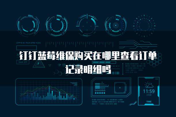钉钉蓝莓维保购买在哪里查看订单记录明细吗